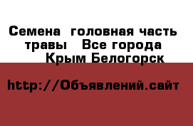 Семена (головная часть))) травы - Все города  »    . Крым,Белогорск